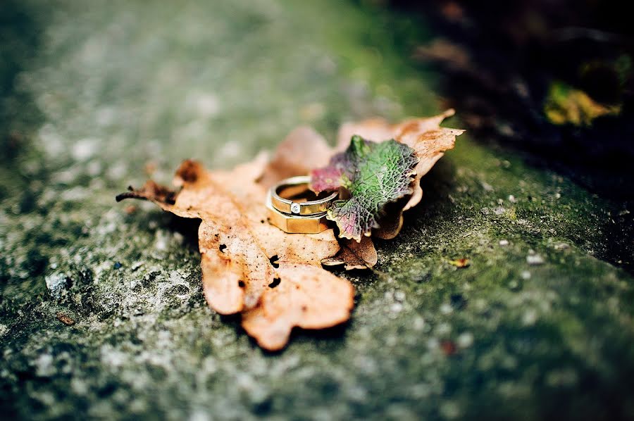 Fotógrafo de casamento Olga Rigel (redfoxfoto). Foto de 15 de agosto 2016