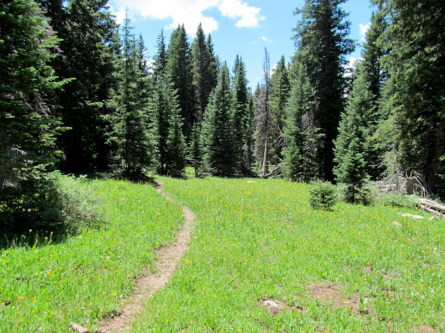 Trail back to the Jeep