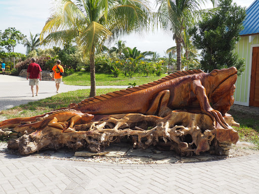 PB180394.JPG - This iguana was carved out of a old tree stump.