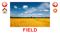 Flash Cards Nature for kids