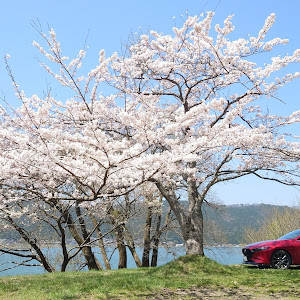 MAZDA3 BPFP