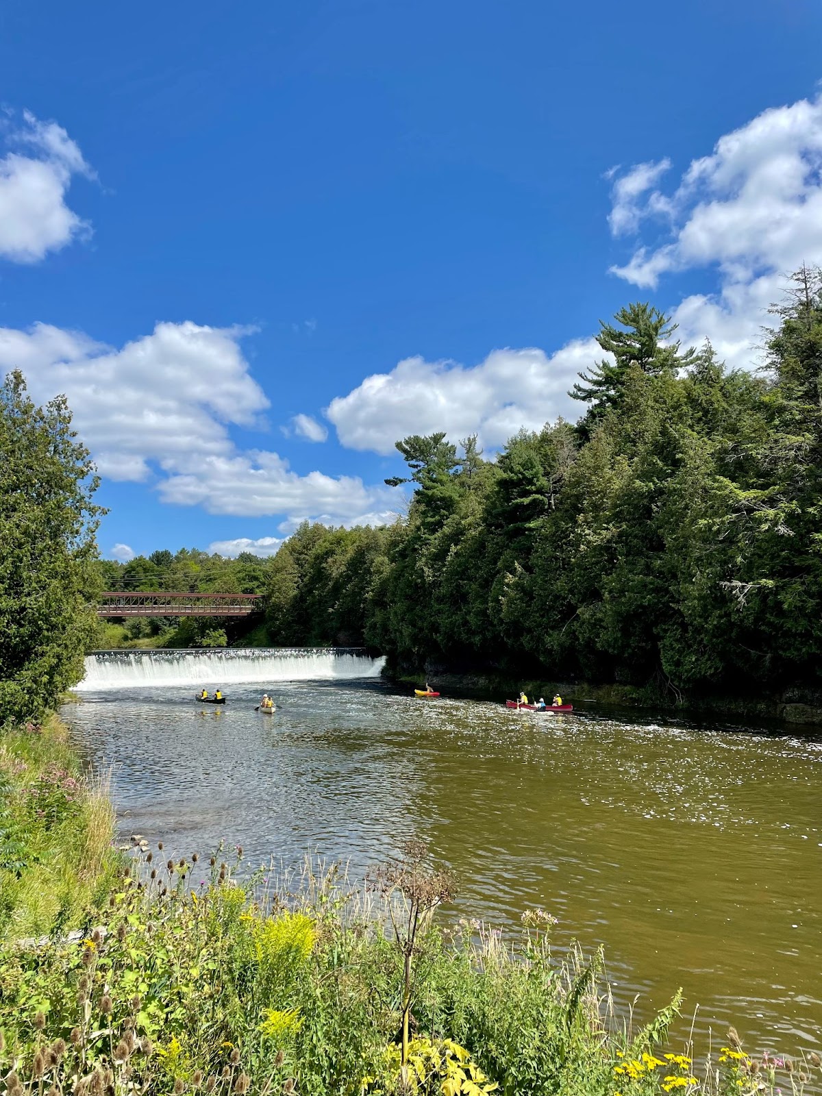 bissell park elora