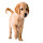 Puppy Wallpaper HD Dogs New Tab Puppies