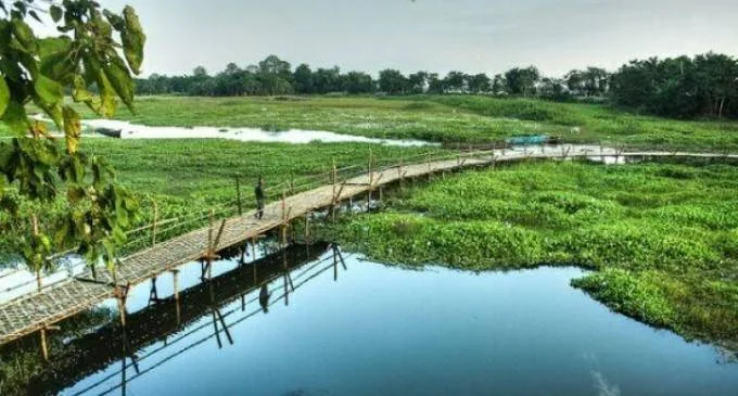 majuli_image