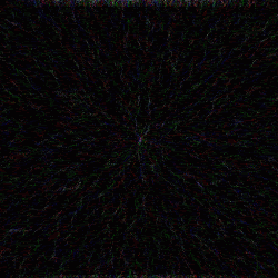 Physarum #020