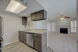 Modern apartment interior with stainless steel appliances, breakfast bar, carpeted living area, and a fireplace.