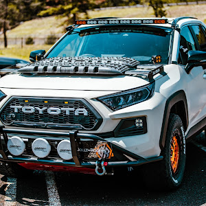 RAV4 MXAA54