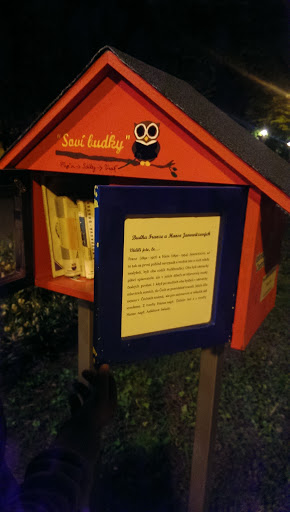 Bird House 