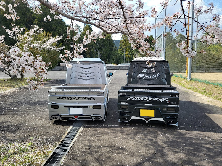 ハイゼットジャンボの桜とコラボ・サクラと愛車・桜に関するカスタム事例の投稿画像2枚目