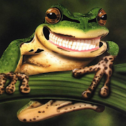 Funny Frogs Jigsaw Puzzles  Icon