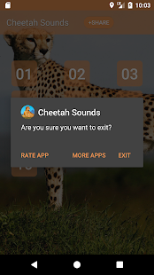 Cheetah (Animal) Sounds(圖4)-速報App