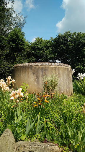 Jacob's Well.