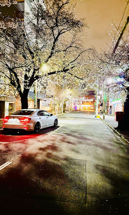 LSの夜桜・桜・桜コラボ・サクラと愛車・桜並木に関するカスタム事例の投稿画像3枚目