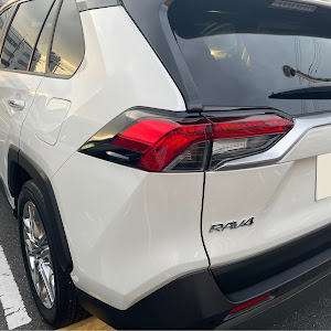 RAV4 MXAA54