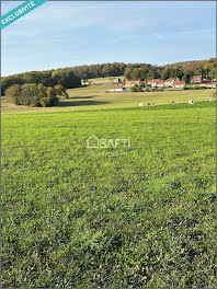 terrain à Chamesol (25)