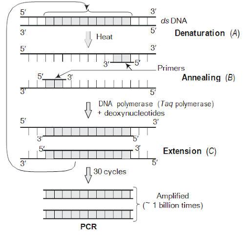 Solution Image