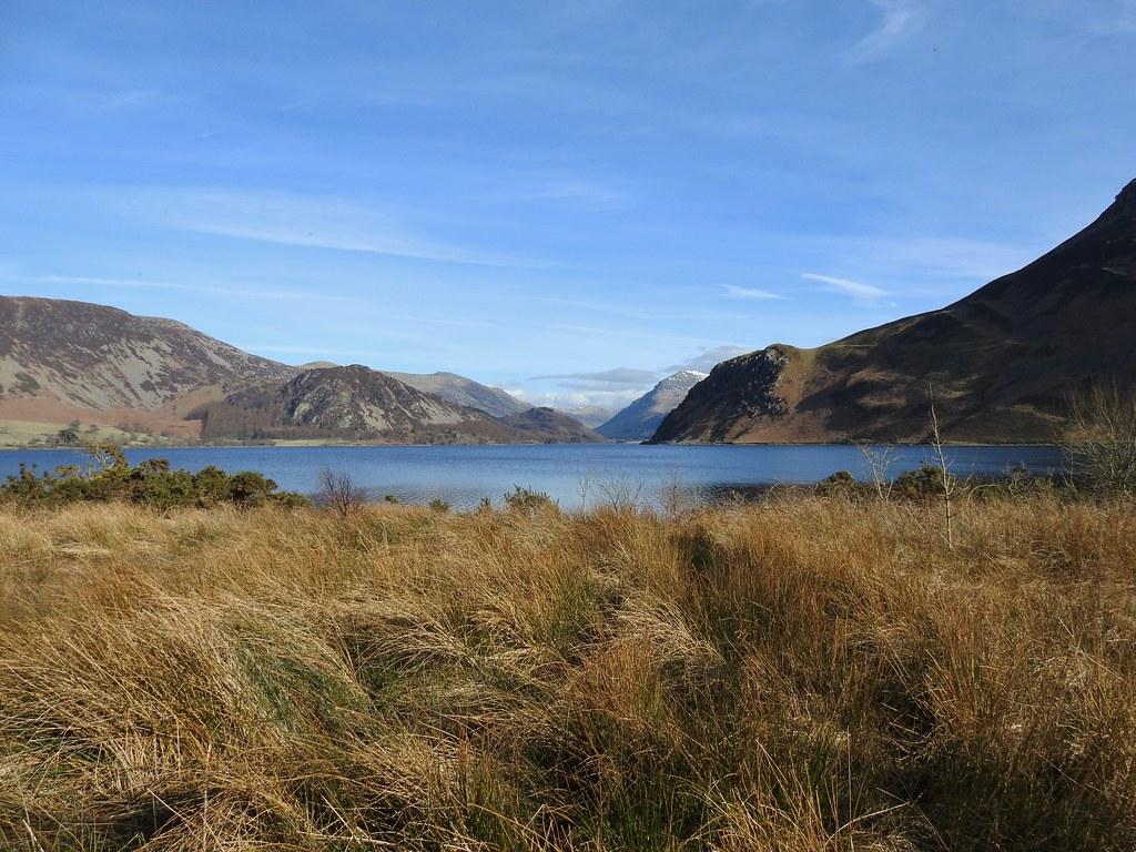 A field with a mountain in the background

Description automatically generated