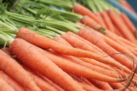 Image result for carrot