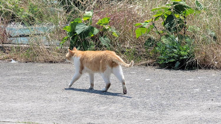 の投稿画像3枚目