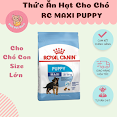 Royal Canin Maxi Puppy - Thức Ăn Hạt Cho Chó Con Giống Lớn