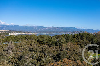 terrain à batir à Porto-Vecchio (2A)