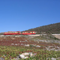 Train between nature di 