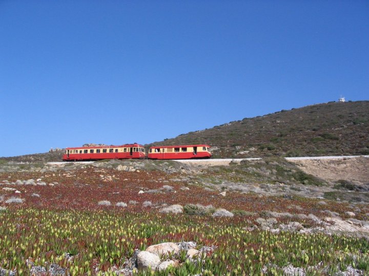 Train between nature di martelli-stefano