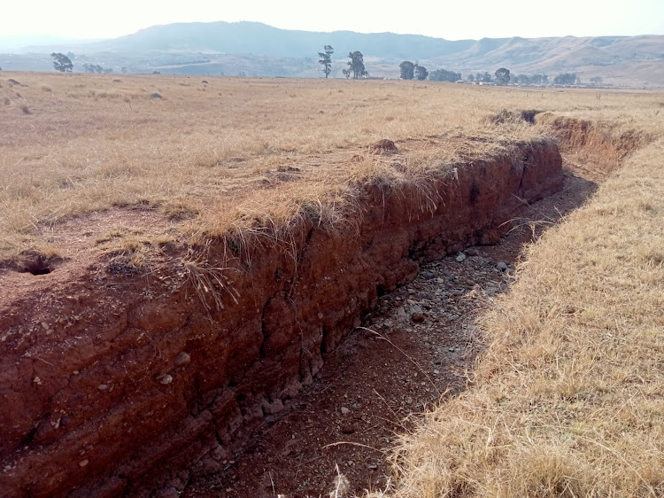 The ditch in which community members discovered the body of 18-year old Minenhle Buthelezi, about 5km away from where she and her school friend Nqobile Zulu were attacked.
