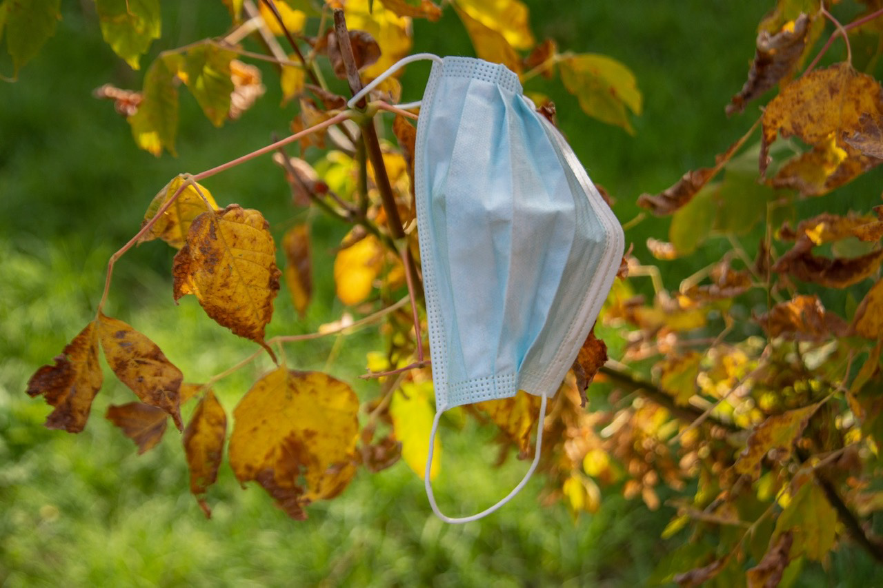 Stanno come d’autunno 2021 sugli alberi le ….mascherine di poppy