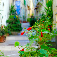 Vicolo verde e rosso di 