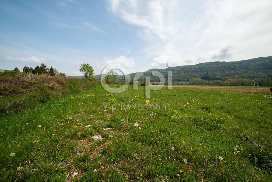 Vente terrain  946 m² à Simandre-sur-Suran (01250), 73 000 €