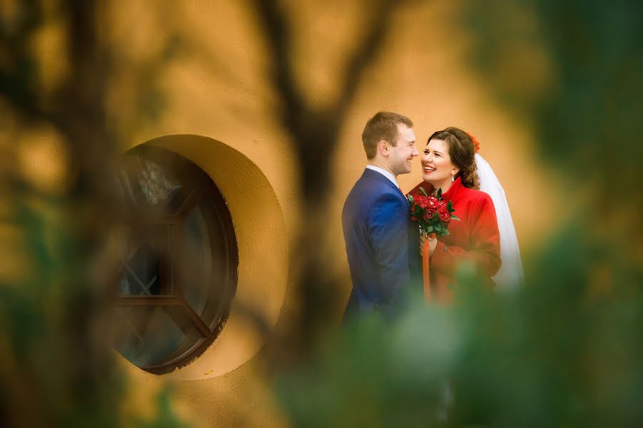 शादी का फोटोग्राफर Marina Malynkina (ilmarin)। जनवरी 26 2016 का फोटो