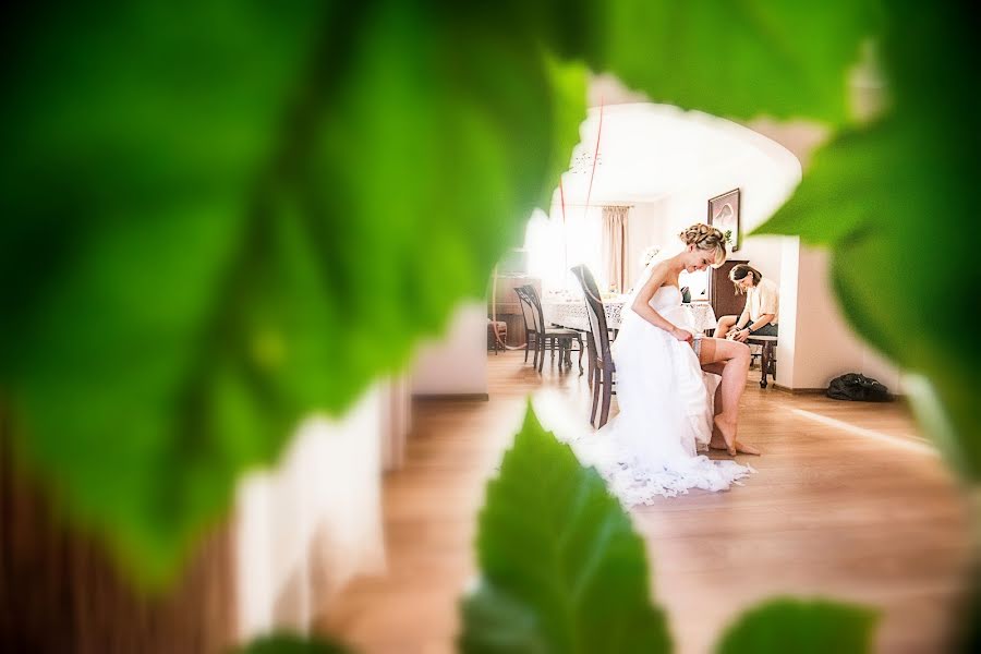 Fotografo di matrimoni Magdalena Korzeń (korze). Foto del 5 febbraio 2016