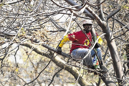 A Numsa member listens to speeches by general secretary Irvin Jim and suspended Cosatu boss Zwelinzima Vavi in Randburg, Johannesburg, yesterday. Thousands of workers marched on the offices of the Fuel Retail Association demanding higher wages