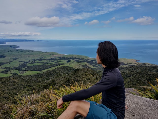 Mount Karioi Peak