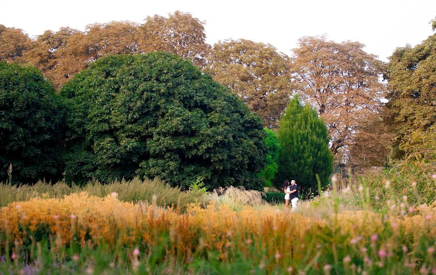 結婚式の写真家Maksim Mikhaylyuchenko (wedphotographer)。2015 10月6日の写真