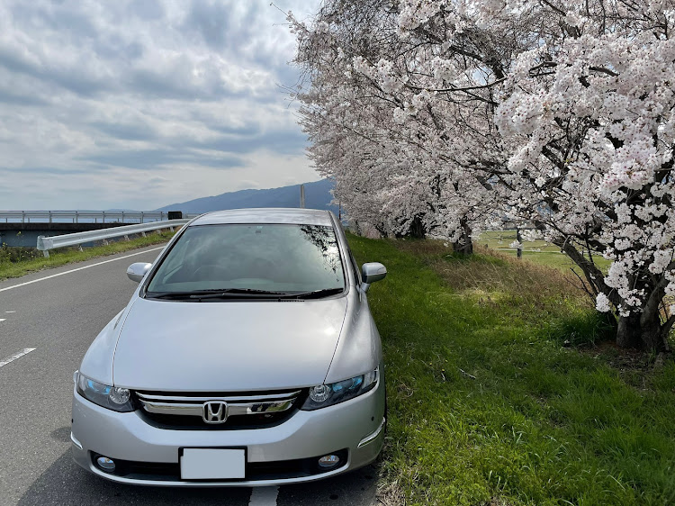 オデッセイの桜とコラボ🌸・洗車に関するカスタム事例の投稿画像4枚目