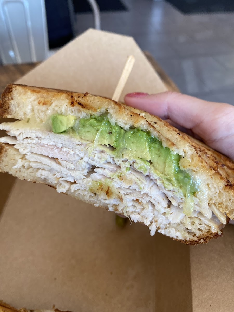 Turkey Avocado Panini