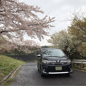 ヴォクシー ZRR80W