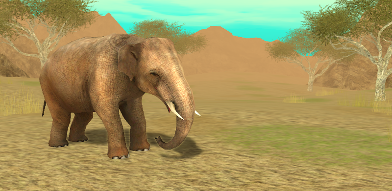 Wild Elephant Sim 3D