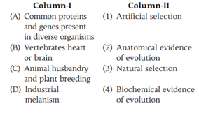 Morphological and Anatomical Evidences