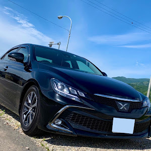 マークX GRX135