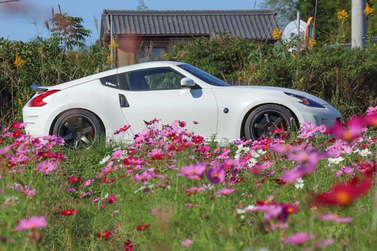 フェアレディZのPickUpCarsで会いましょう・秋桜と愛車・コスモス畑・小さい秋見つけた・ドライブに関するカスタム事例の投稿画像1枚目