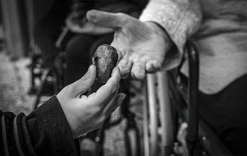 Una castagna per la nonna. di brunosma