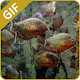 Download Fish Aquarium GIF For PC Windows and Mac 1.0