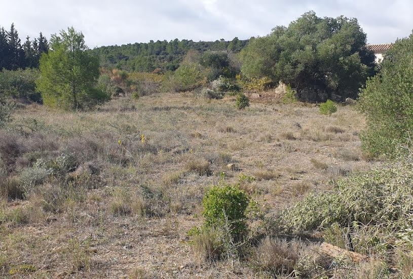  Vente Terrain à bâtir - à Mailhac (11120) 