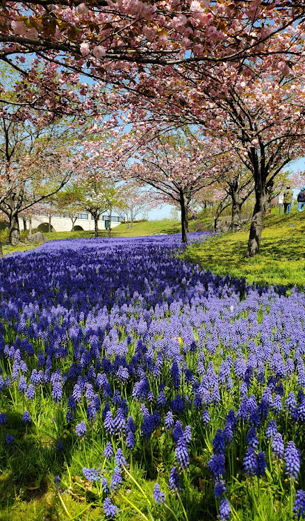 の投稿画像11枚目