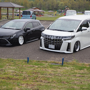 カローラスポーツ NRE210H