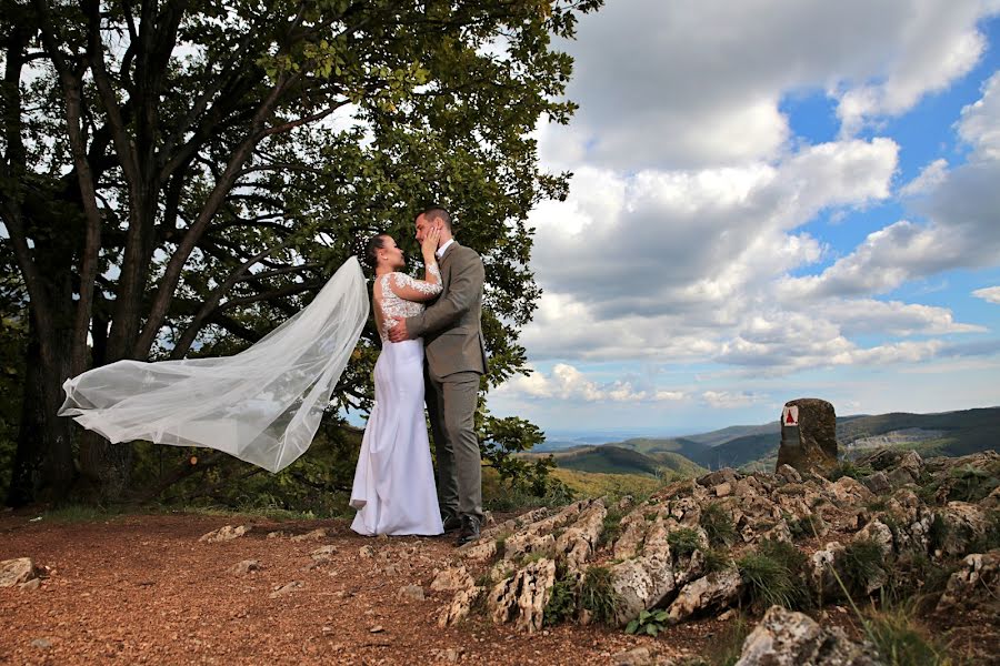 Wedding photographer Gyula Boros (borosgyula). Photo of 26 September 2022