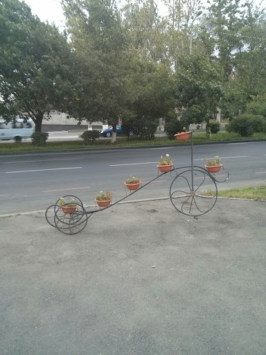 FlowerBike